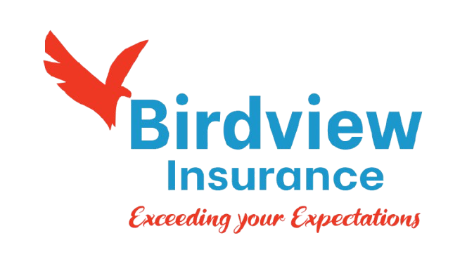 Birdview Logo
